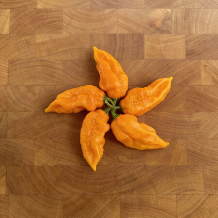 Yellow Bhut Jolokia, Pepper Seeds - Packet image number null